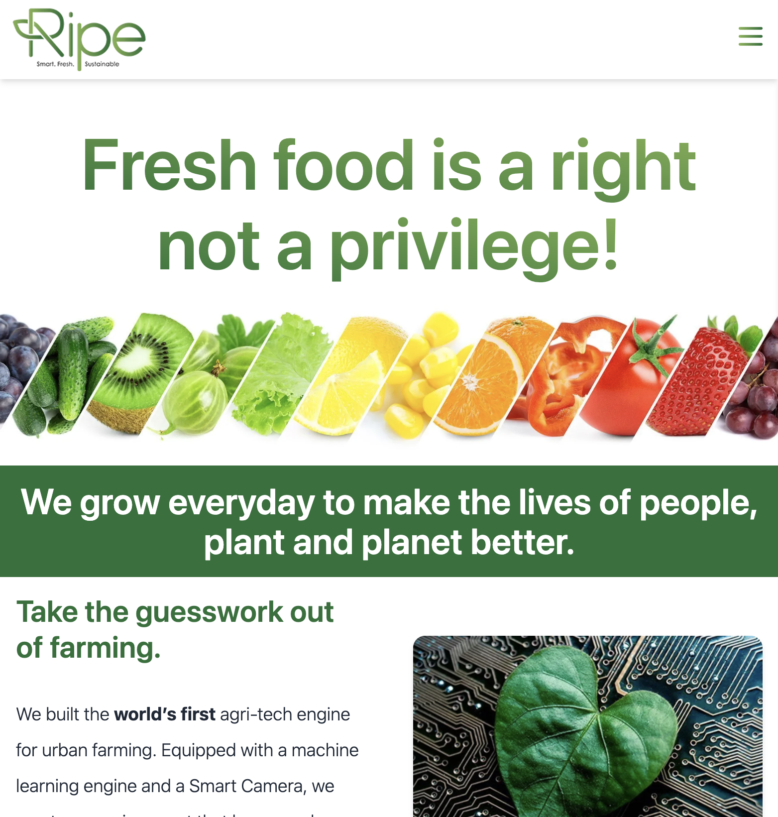 RipeFresh Website
